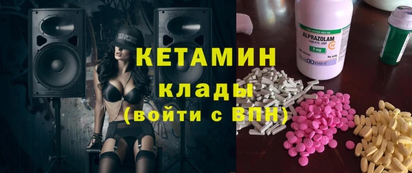 крисы Бородино