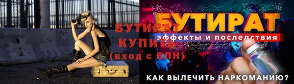 крисы Бородино
