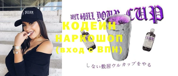 крисы Бородино