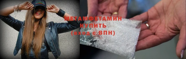 крисы Бородино