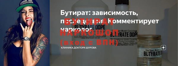 крисы Бородино