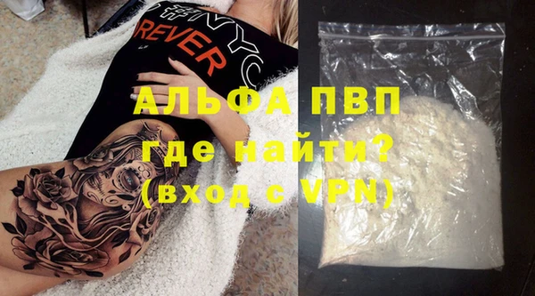 крисы Бородино