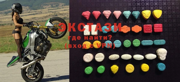 крисы Бородино