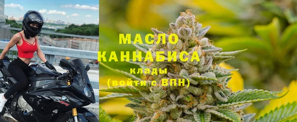 крисы Бородино
