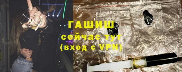 крисы Бородино