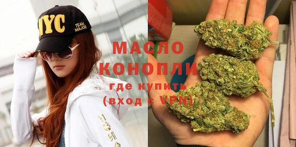 крисы Бородино