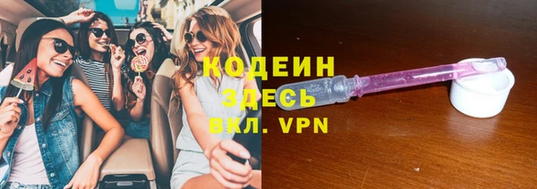 крисы Бородино