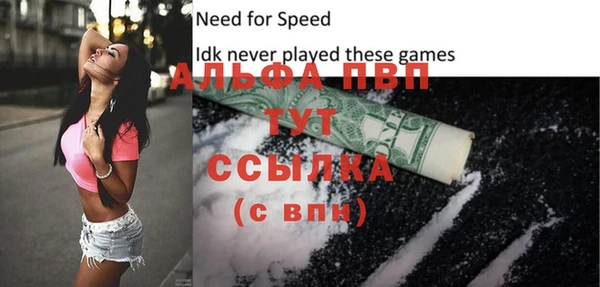 крисы Бородино