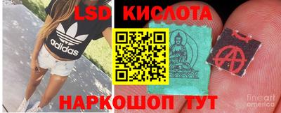 прущий лед Гатчина