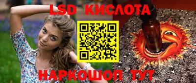 мдпв Гай