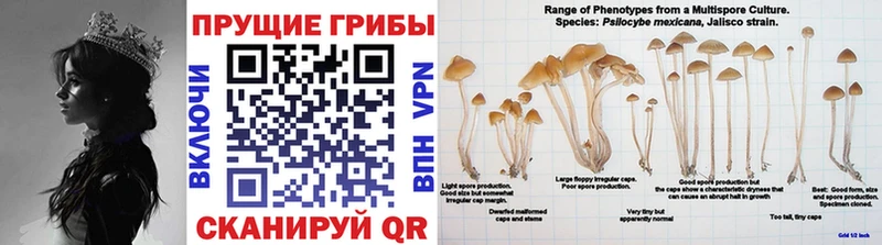 купить   Горячий Ключ  Галлюциногенные грибы мухоморы 