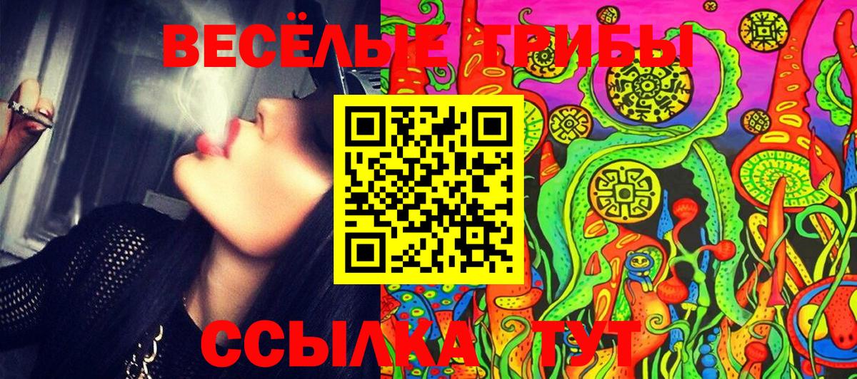 Галлюциногенные грибы мицелий Горячий Ключ