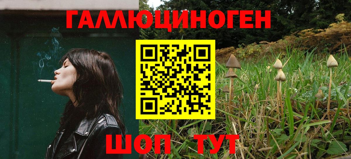 Амфетамин  Вход с VPN  COCAIN  Гарик  Hash Oil  Горячий Ключ  Марихуана  Меф  Метадон 