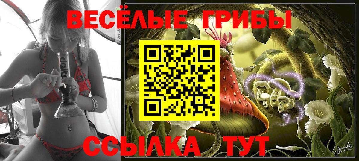 Псилоцибиновые грибы Горячий Ключ