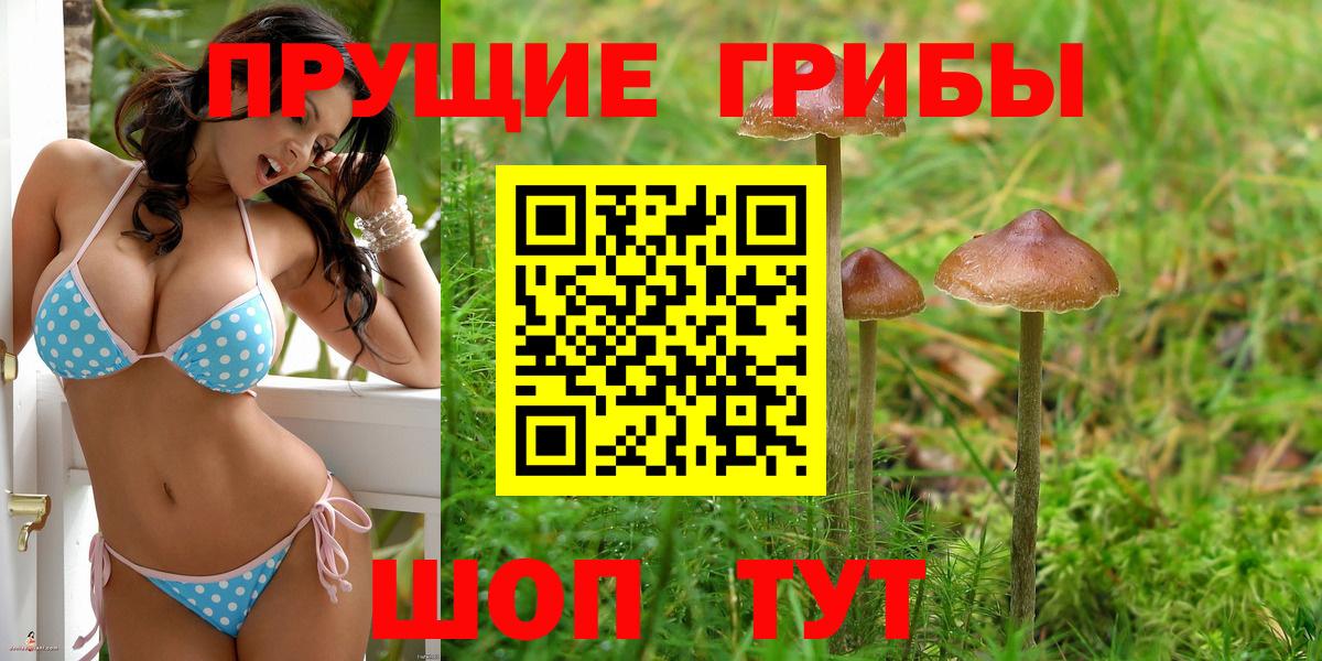 Псилоцибиновые грибы Magic Shrooms  Горячий Ключ  Галлюциногенные грибы ЛСД 