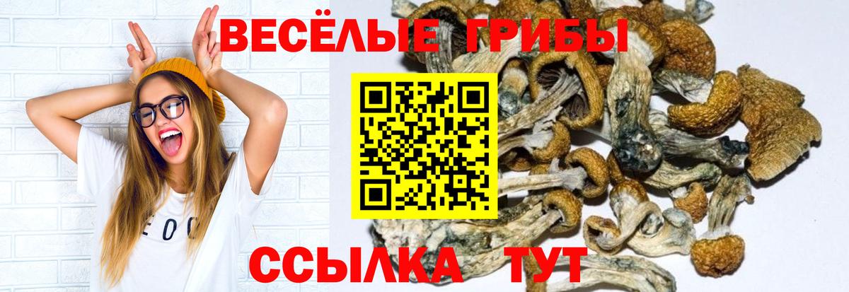 Галлюциногенные грибы ЛСД  Вход с VPN  Горячий Ключ 